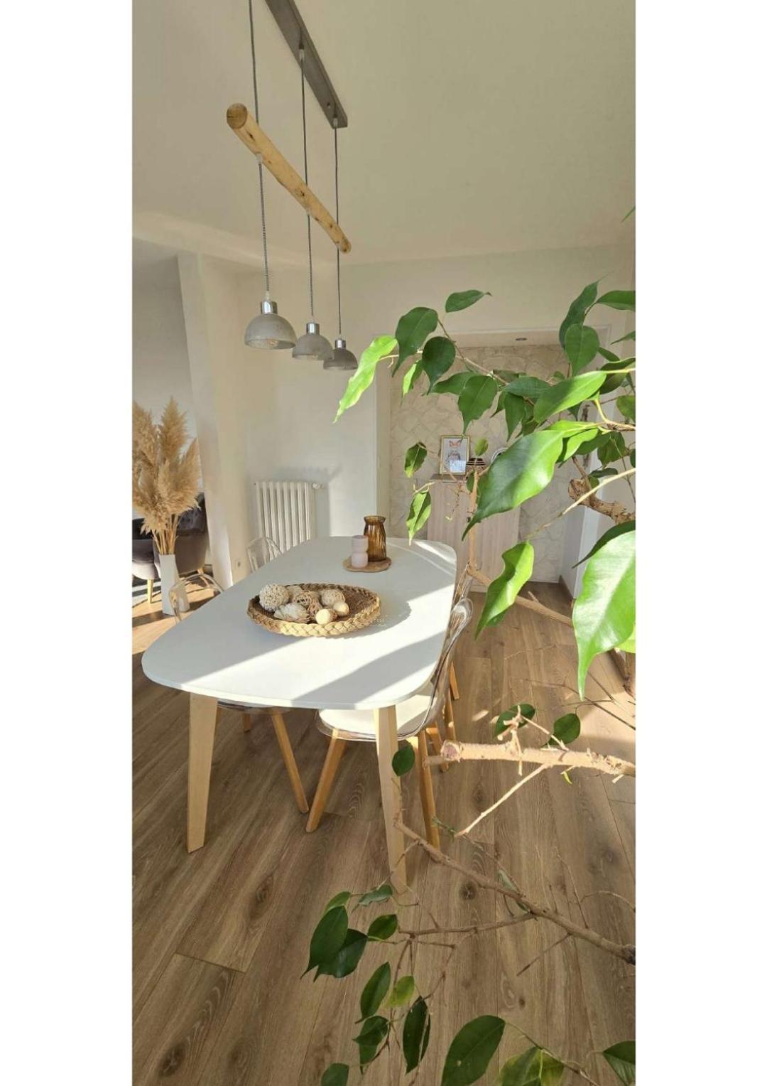 Superbe T3 Cosy, Parking Gratuit + Balcon Apartman Riom Kültér fotó
